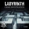 Felix Manzi - Labyrinth: Crime Investigation